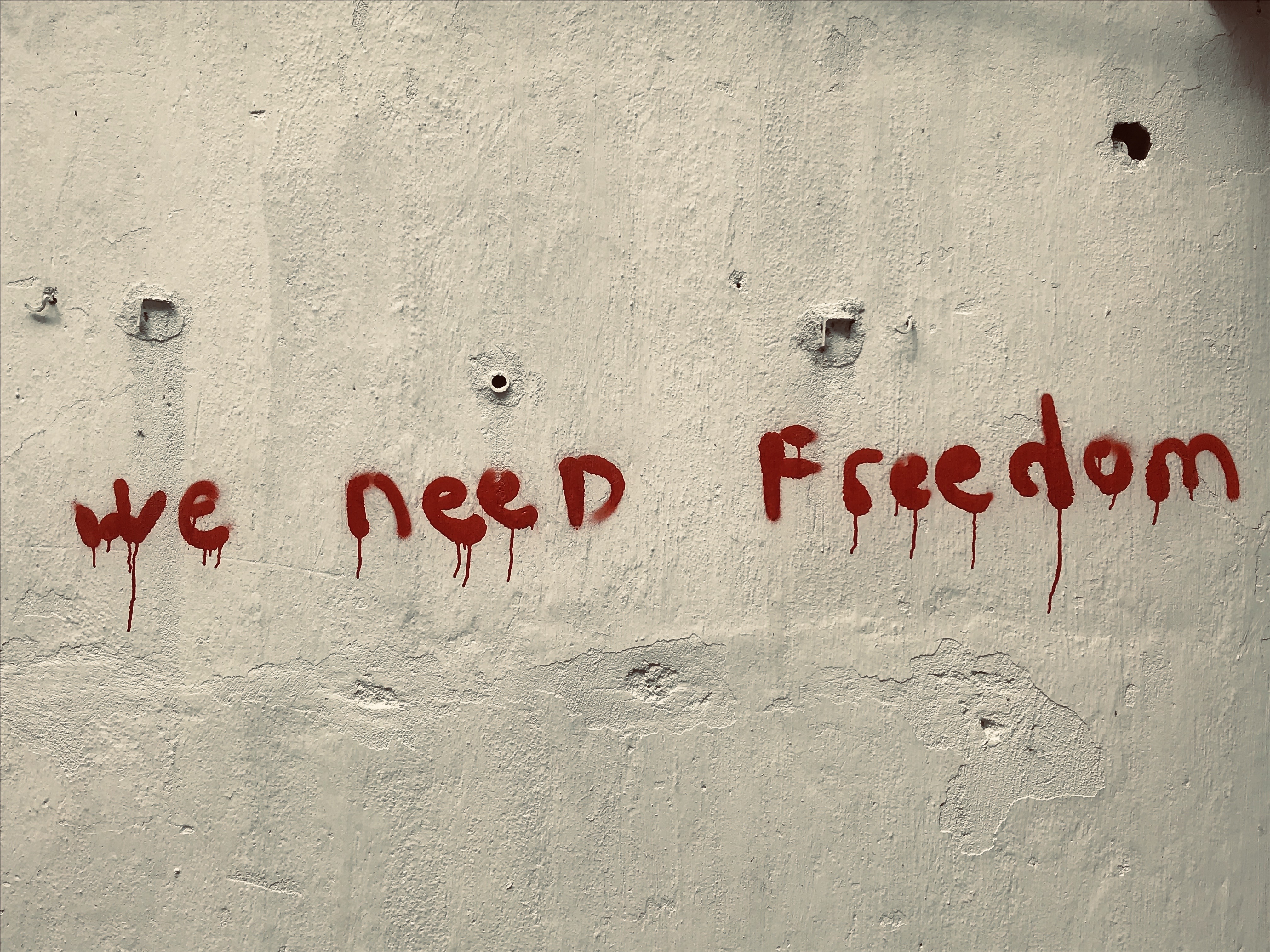 pic-freedom